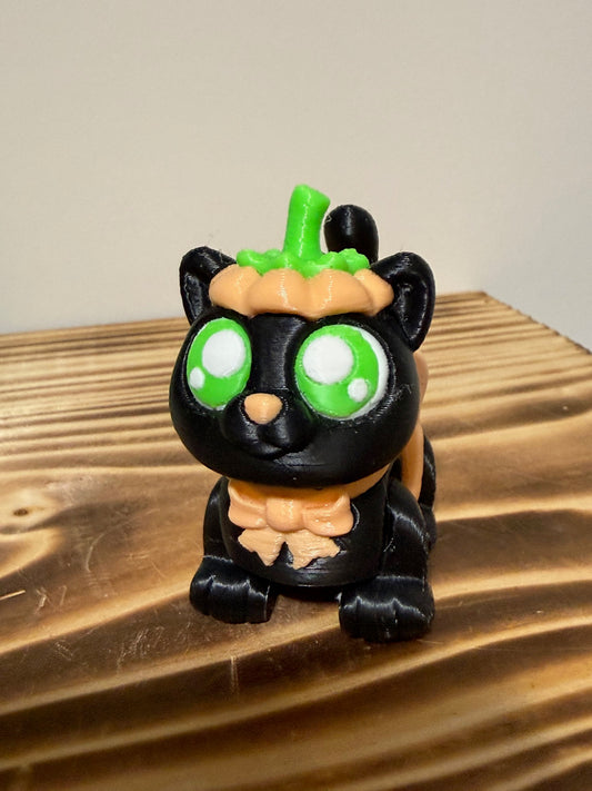 pumpkin kitty