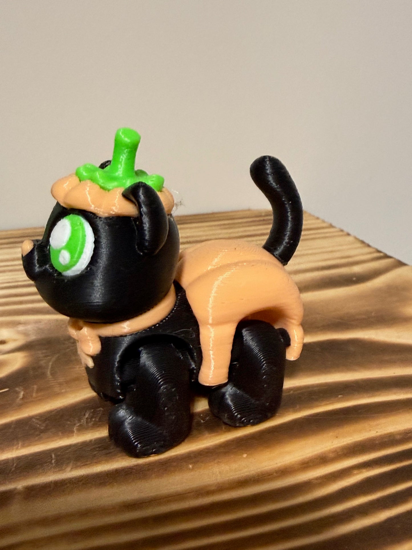 pumpkin kitty